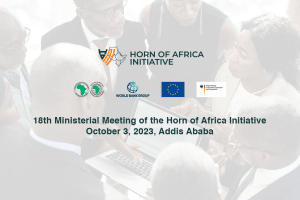 18th Ministerial Meeting of the Horn of Africa Initiative