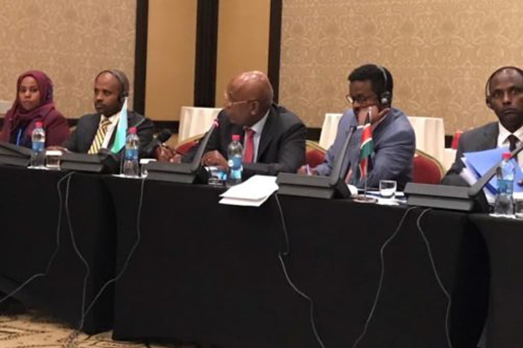 Horn of Africa Meeting in Djibouti